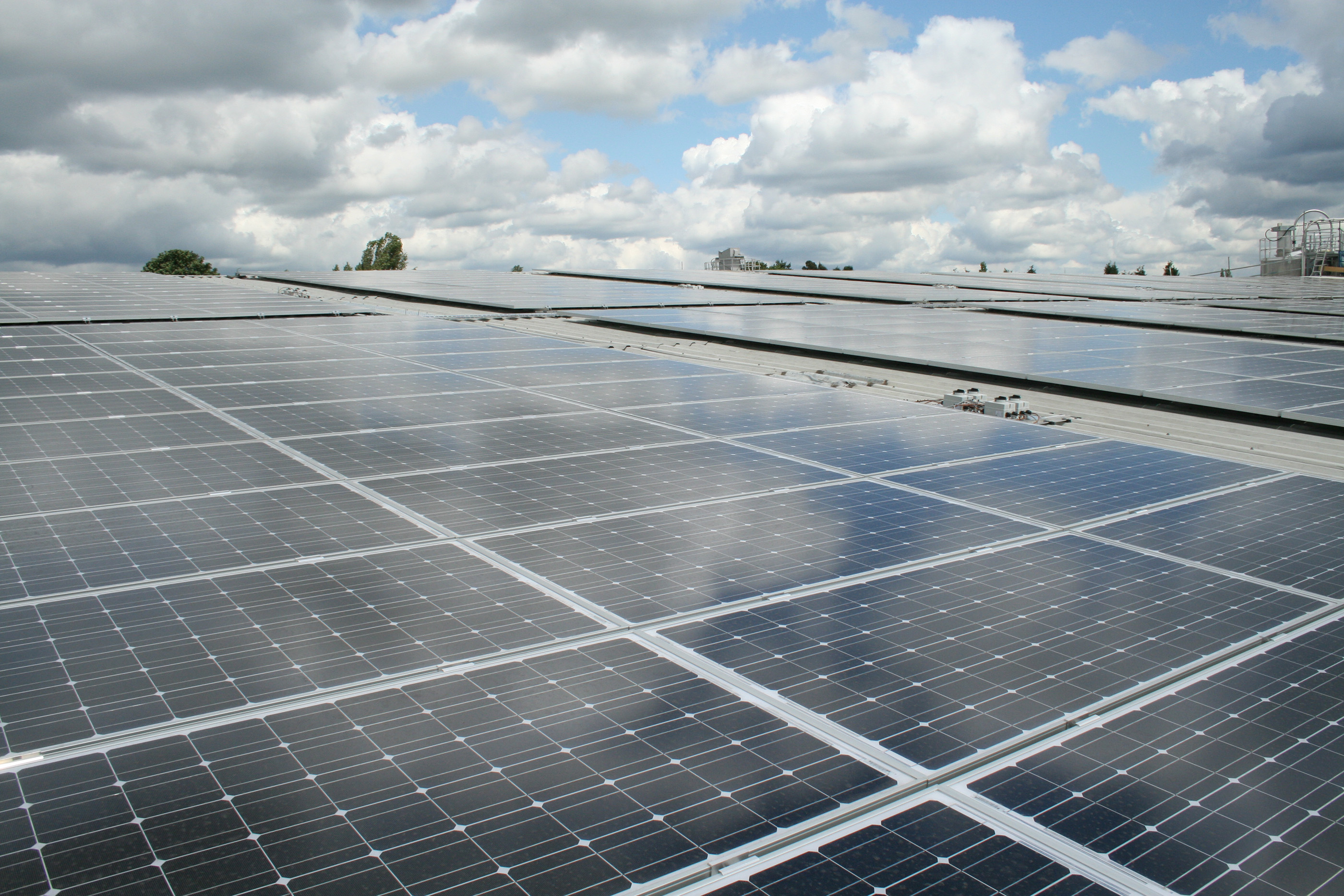 Campo de paneles solares
